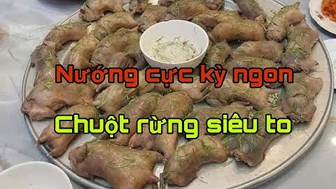 Đi bẫy chuột rừng và cái kết bất ngờ