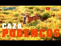 Caza con podencos, Documental.Descubre la auténtica cacería del podenco andaluz.