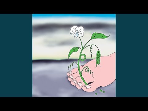 آهنگی برای موهایش