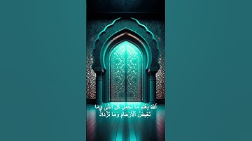 سورة الرعد #explore #اكسبلور #تيك_توك
