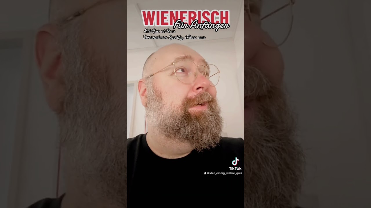 Wienerisch für Anfänger: Supercut 2024