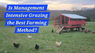 Is Management Intensive Grazing the Best Farming Method