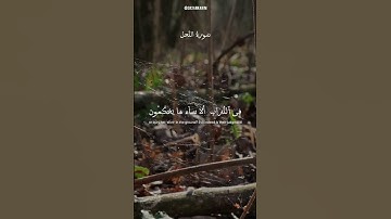 #سورة_النحل  للقارئ عبدالرحمن مسعد #quran