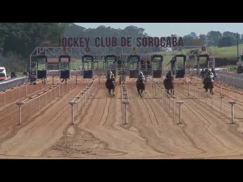 Vídeo: Páreo Luiz Meneghel Neto