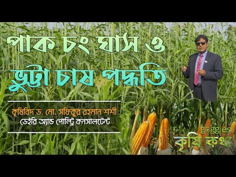 ভিডিও: সাধারণ কৃষির দরকারী বৈশিষ্ট্য