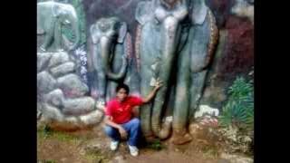 Setia band~jangan mau-mau