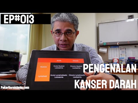 PDA Ep#013 - Pengenalan Kanser Darah