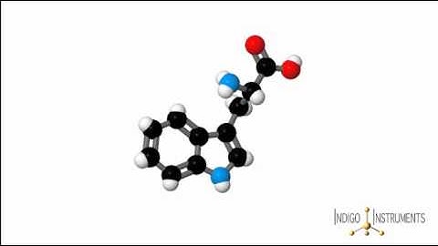 Chemical Structure of Tryptophan Amino Acid-Turkey Chemistry Molecule in 3D