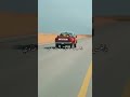 شيلة يالجمس جت حزتك والخط متساوي خابرك لا جا لزومك ما تخليني شيلة يالجمس جت حزتك والخط متساوي خابرك لا جا لزومك ما تخليني
