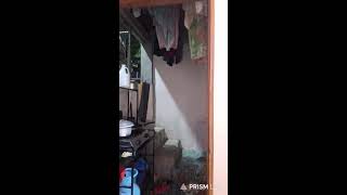 Live streaming of Filipina Euphoric|Feel better Picxie vacine time