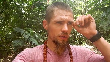 Ayahuasca retreat in the Amazonian jungle