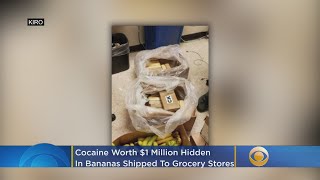 Cocaine Worth $1 Million Hidden In Bananas Shipped To Grocery Stores