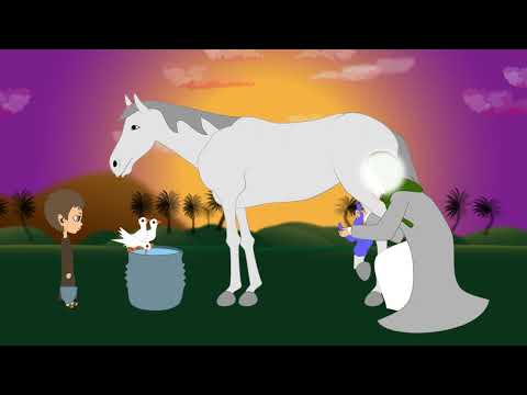 أنا شبل من شيعة حيدر أنشودة بمناسبة عيد الغدير الأغر