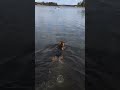 Dog Wants to Go Fishing with Parents