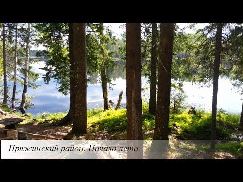 Карелия. Пряжинский район.