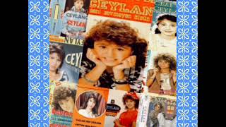 Küçük Ceylan Seçmeler