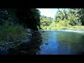 🛶🌄 🐦Relaxing Nature Sounds. Para dormir antes de 15 minutos. Sonidos de la Naturaleza.