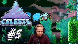 Celebrity VeeDotMe plays Celeste Chapter 6 Reflection | Celeste Blind Full Playthrough Profile