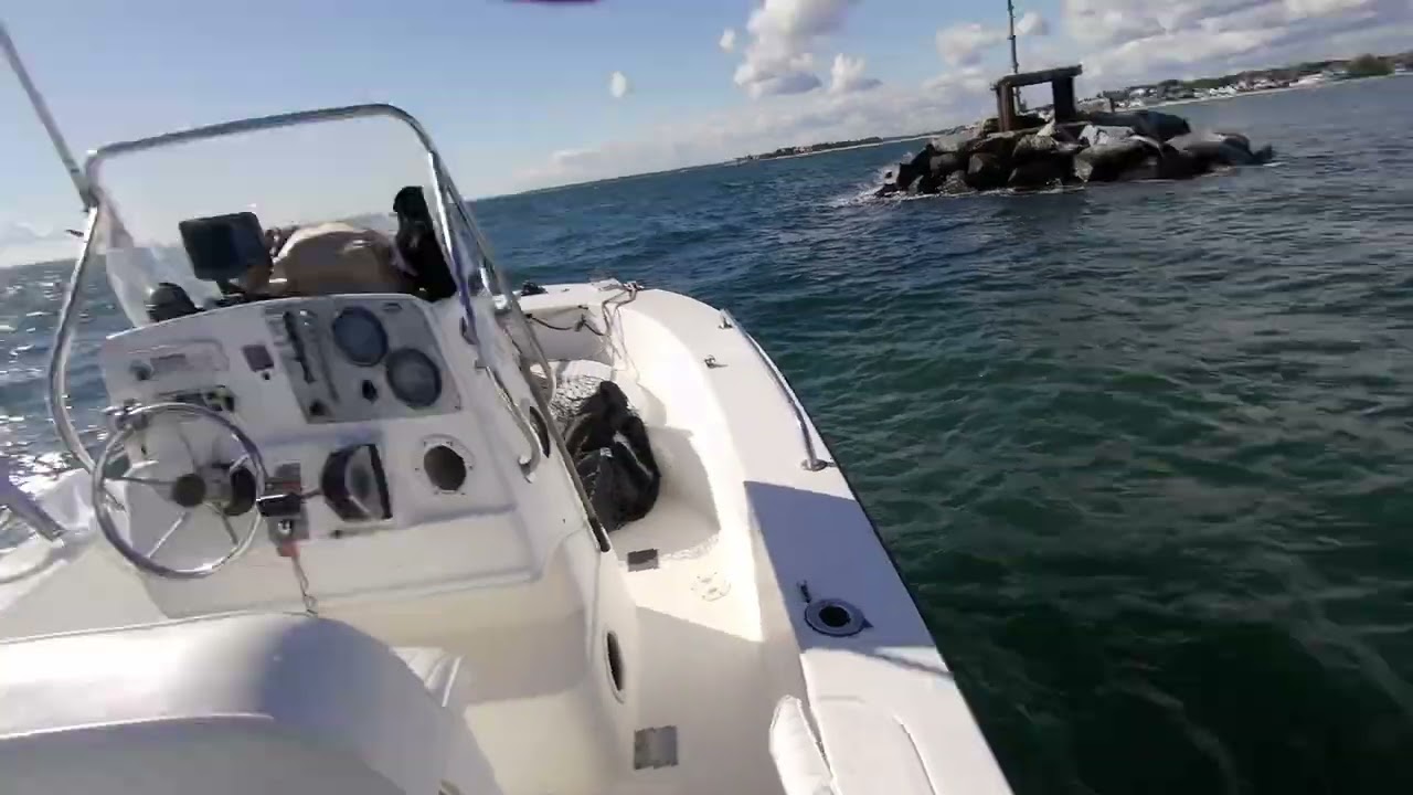 Watch us catch 100 Tautog