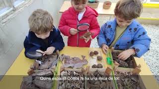 Tot el temps d&#39;escola és temps d&#39;aprenentatge a l&#39;escola Avenç