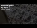 英文冷門歌曲|翻譯推薦|Miss E - Hummingbird(蜂鳥)|中文字幕翻譯