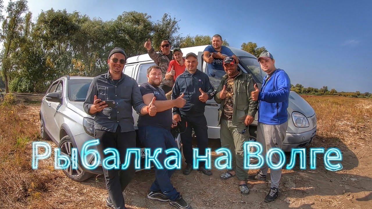 Сомы на волге фото