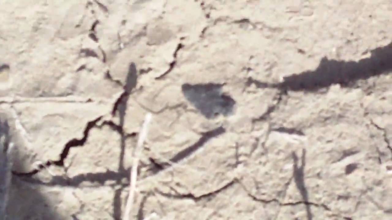 Arrowhead Hunting NM 3/18/10 YouTube