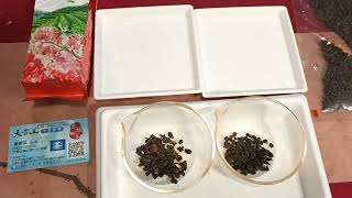 2022年春季鹿谷農會比賽茶和越南偽冒比賽茶之差異分辨（2）