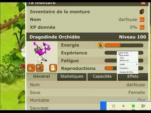 dragodinde orchidée level 100oO - YouTube