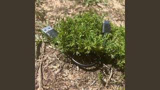 Download Lagu OMG! (feat. Stiffic) MP3