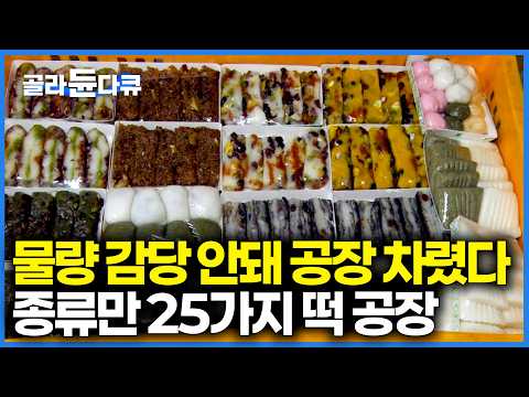 떡 종류만 25가지! 매일 밤 출근해 수작업으로 떡 생산해 주문 끊길 일 없는 놀라운 규모의 방앗간｜극한직업｜#골라듄다큐