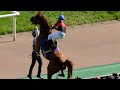 ホウオウバニラが暴れて横山典弘54歳が魅せたロデオ オークス 2022本馬場入場