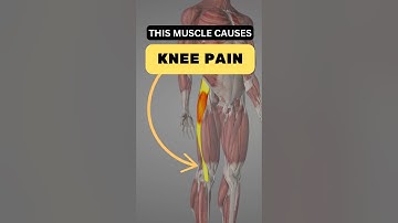 **🎥 Understanding Lateral Knee Pain: The Muscle Dysfunction You Can’t Ignore**