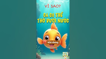 VÌ sao cá không bị ngạt dưới nước? Khám phá thiên nhiên kỳ diệu! #dongvatdethuong #kienthucthuvi