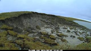 Wolverine Lake Thawing Permafrost - August 2016