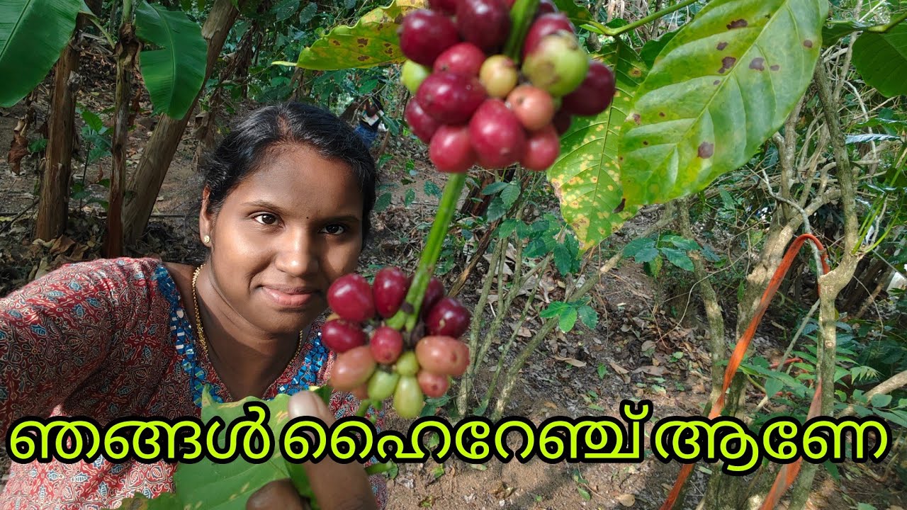 Our Xmas Vacation //ക്രിസ്മസ് vacation കഴിഞ്ഞു തിരിച്ചു പോയില്ല.. ഹൈറേഞ്ച് തന്നെ ആണേ.. 🥰😉