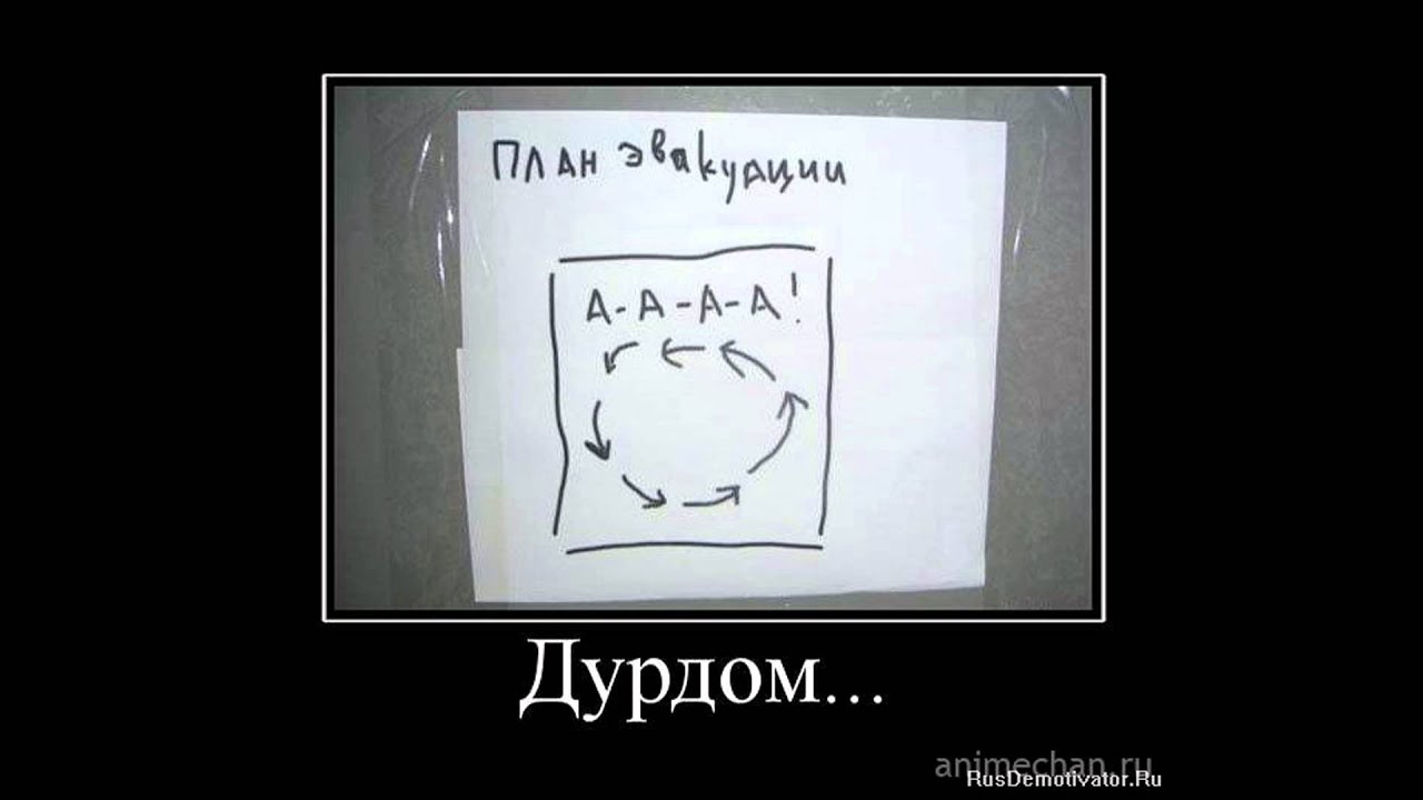 Дурдом веселые картинки