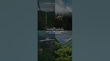 يا أيها الناس اتقوا ربكم الذي خلقكم من نفس واحدة من سورة النساء بصوت الشيخ ماهر المعيقلي