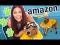 TRYING Amazon's BEST Dog Accessories