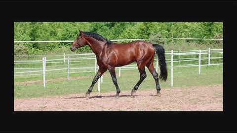 leftist unity x it costs that much (hell)