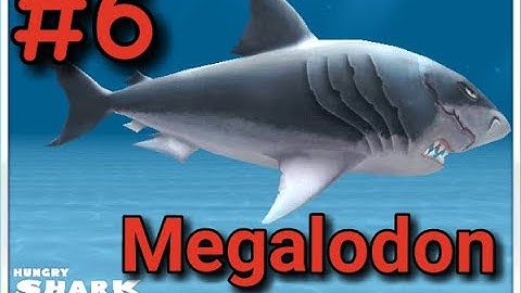 Hungry Shark Evolution ||  Megalodon Shark gameplay || walkthrough part 6
