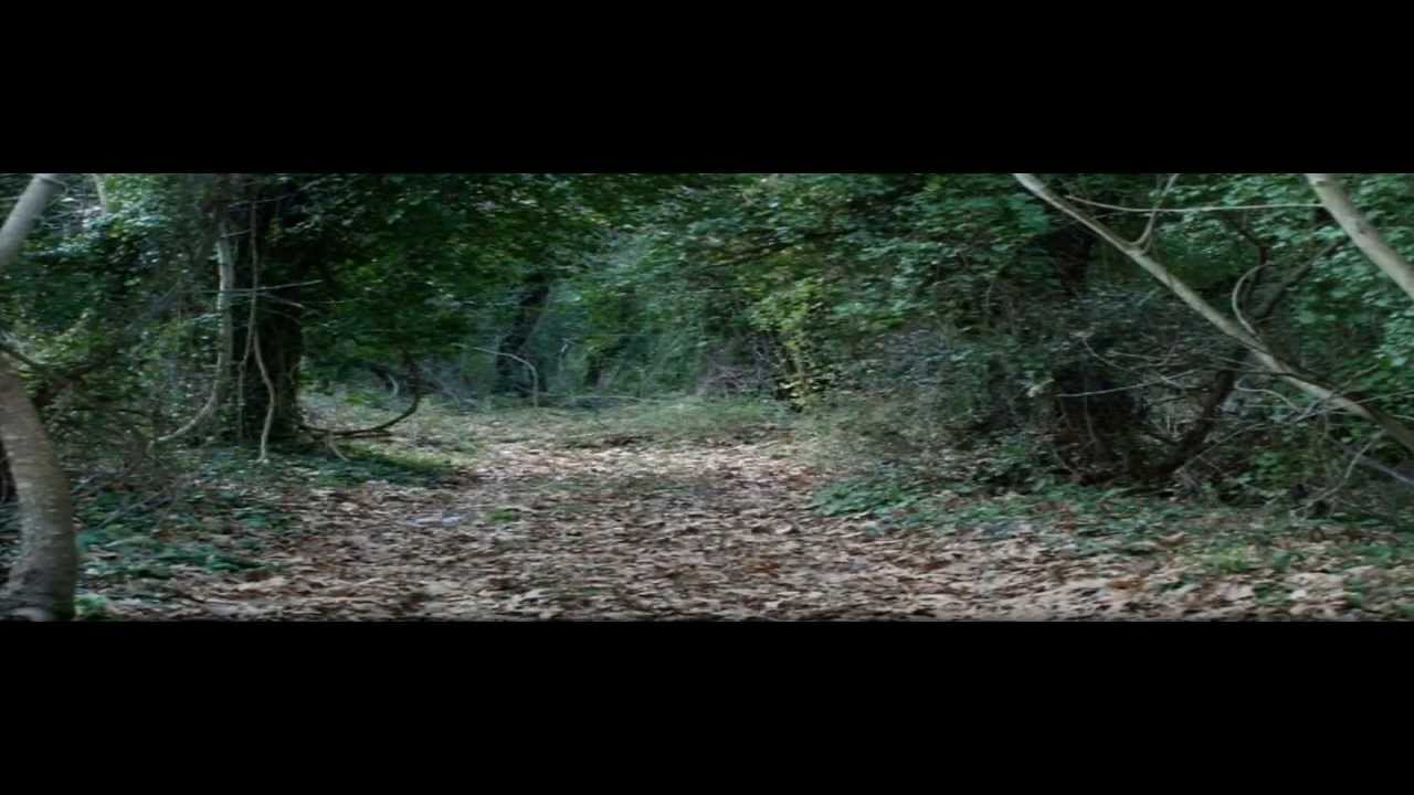 Fairy Tales of the Taygetos