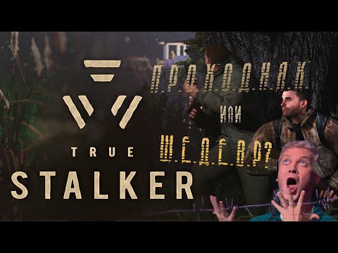 Видео: TRUE STALKER - Проходняк или ШЕДЕВР? | Обзор без спойлеров