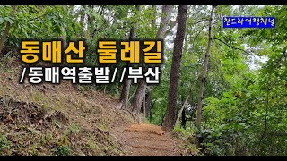 동매산 영상