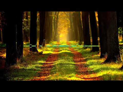 رضا عبد المحسن من اجمل ما قرأ سورة ق 