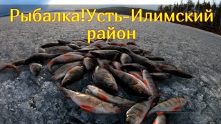 Рыбалка!Усть-Илимский район.Отдых на природе!