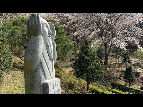 영상썸네일