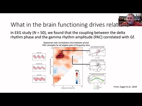 Mechanisms of relational structure mapping across analogy tasks recording thumbnail