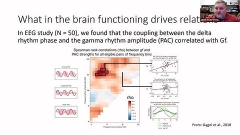 Adam Chuderski -- Mechanisms of relational structure mapping across analogy tasks