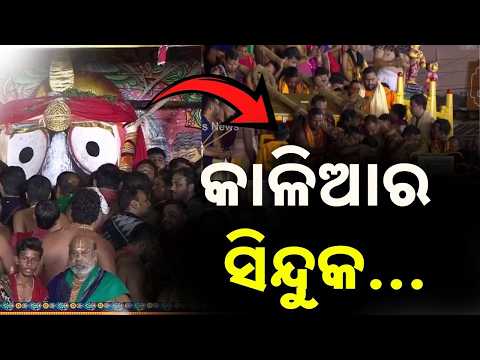 କାଳିଆର ସିନ୍ଦୁକ | Niladri Bije | Niladri Bije 2026 | Niladri Bije Of Lord Jagannath | Rath Yatra 2026